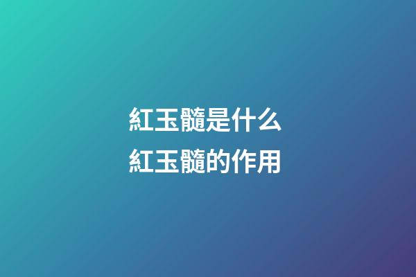 紅玉髓是什么 紅玉髓的作用